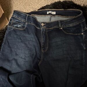 Blue Denim Jeans Embellished plus size jeans